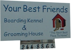 YOUR BEST FRIENDS
